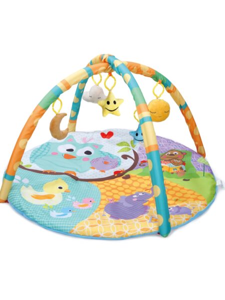 First Play Tweet Play Gym